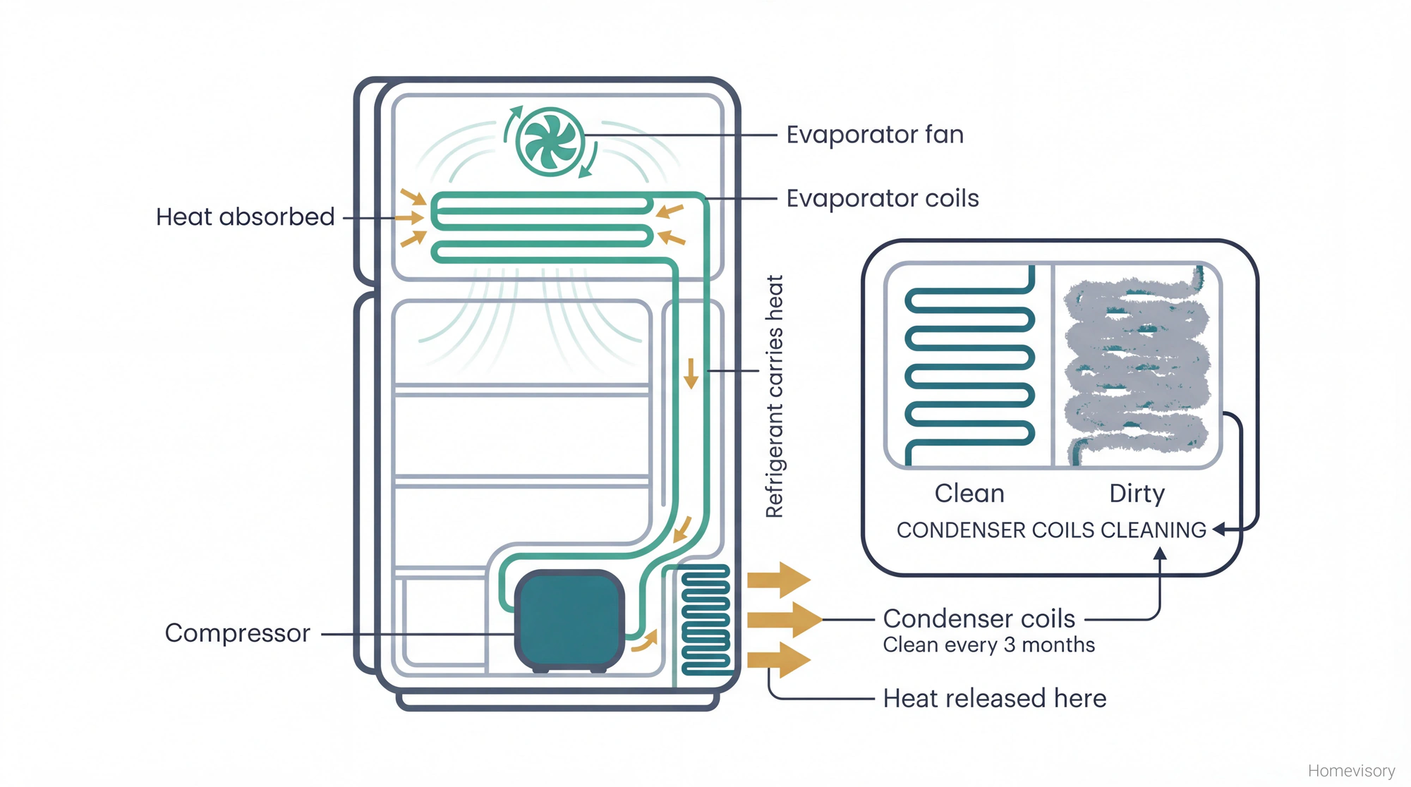 Cross-section diagram of a refrigerator showing the heat exchange cycle, with labeled evaporator coils, compressor, and condenser coils, plus a detail comparing clean versus dust-caked coils