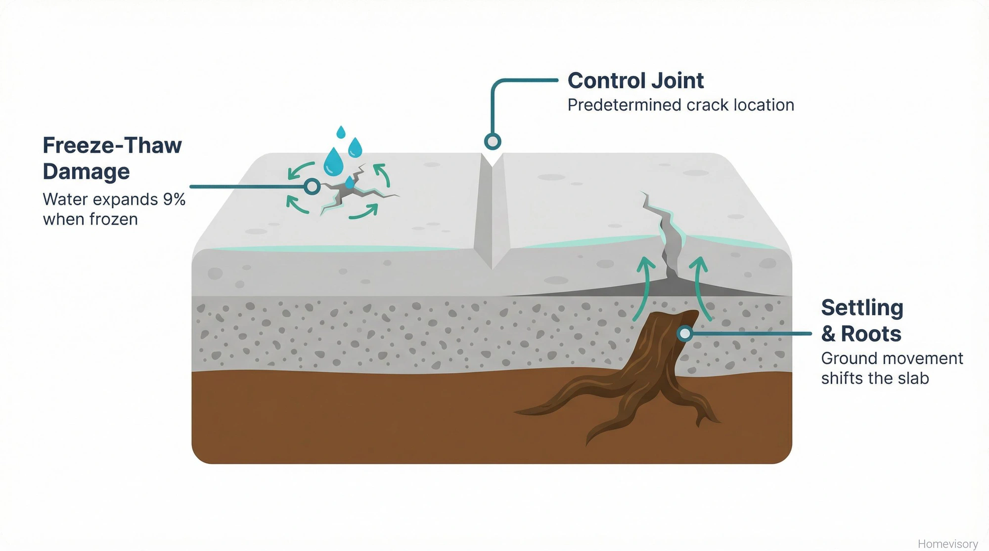 Cross-section diagram showing three causes of concrete cracks: freeze-thaw damage at surface, settling from tree roots below, and control joints as intentional weak points