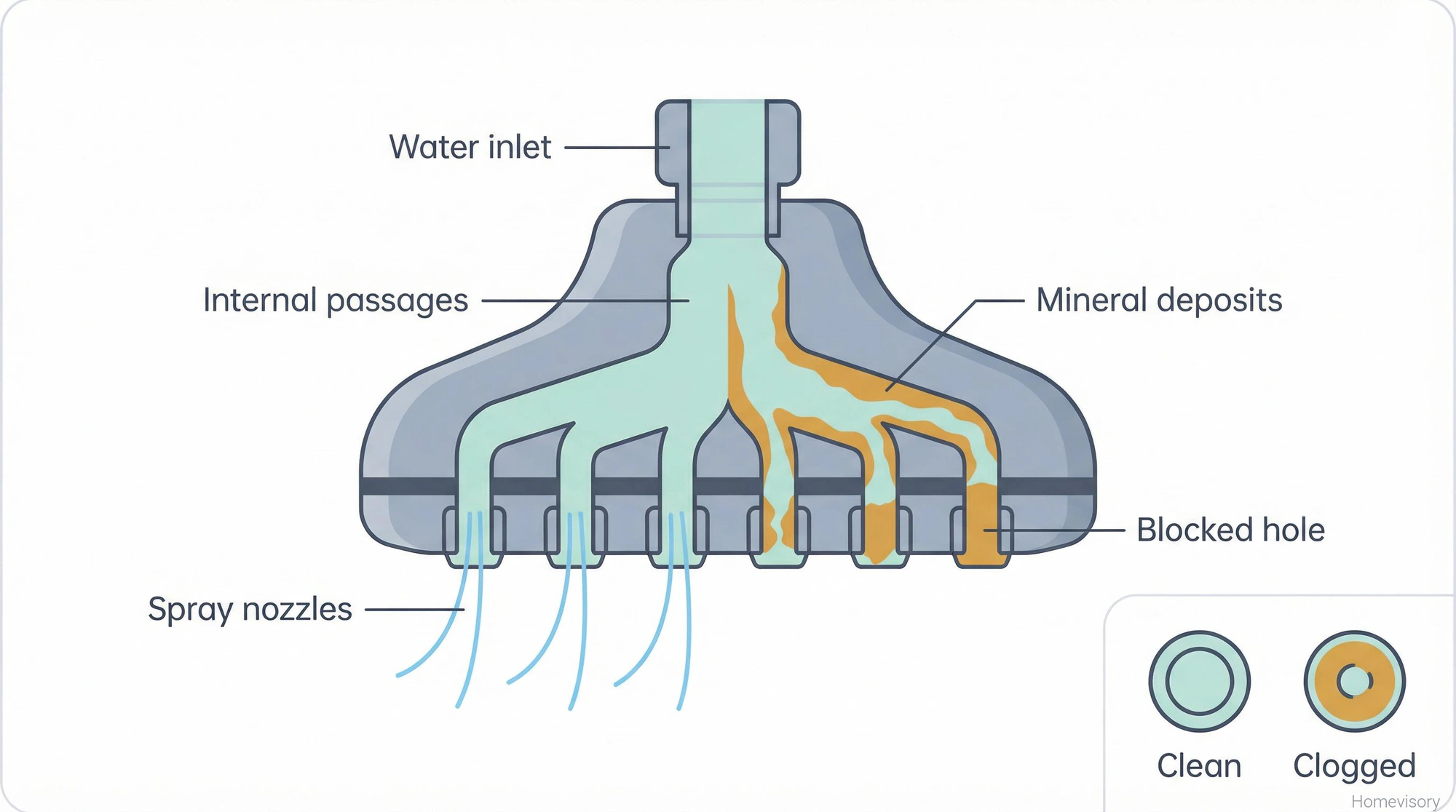 Cross-section diagram of a shower head showing how mineral deposits build up inside water passages and block spray nozzles over time