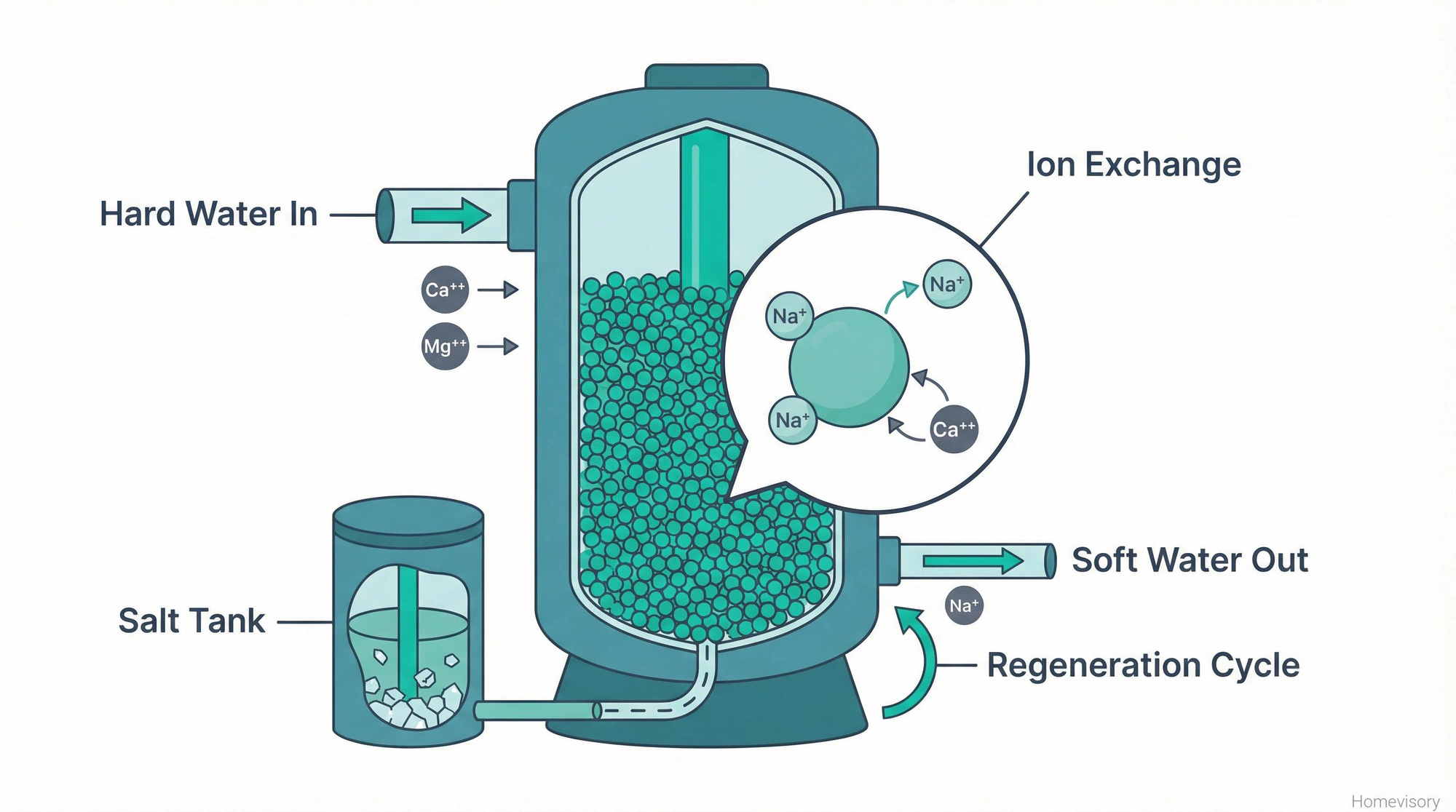 Cross-section diagram of a water softener showing how ion exchange works: hard water enters, calcium and magnesium ions swap with sodium ions on resin beads, and soft water exits, with regeneration cycle from salt tank