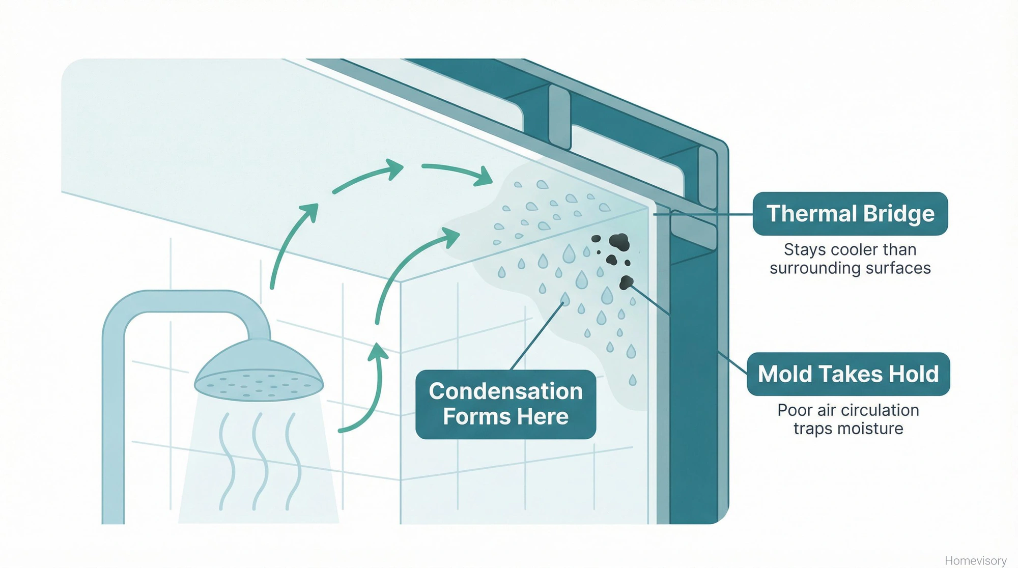 Cross-section diagram showing how warm humid air rises to bathroom corners, condenses on cooler surfaces at the ceiling-wall junction, and creates conditions for mold growth