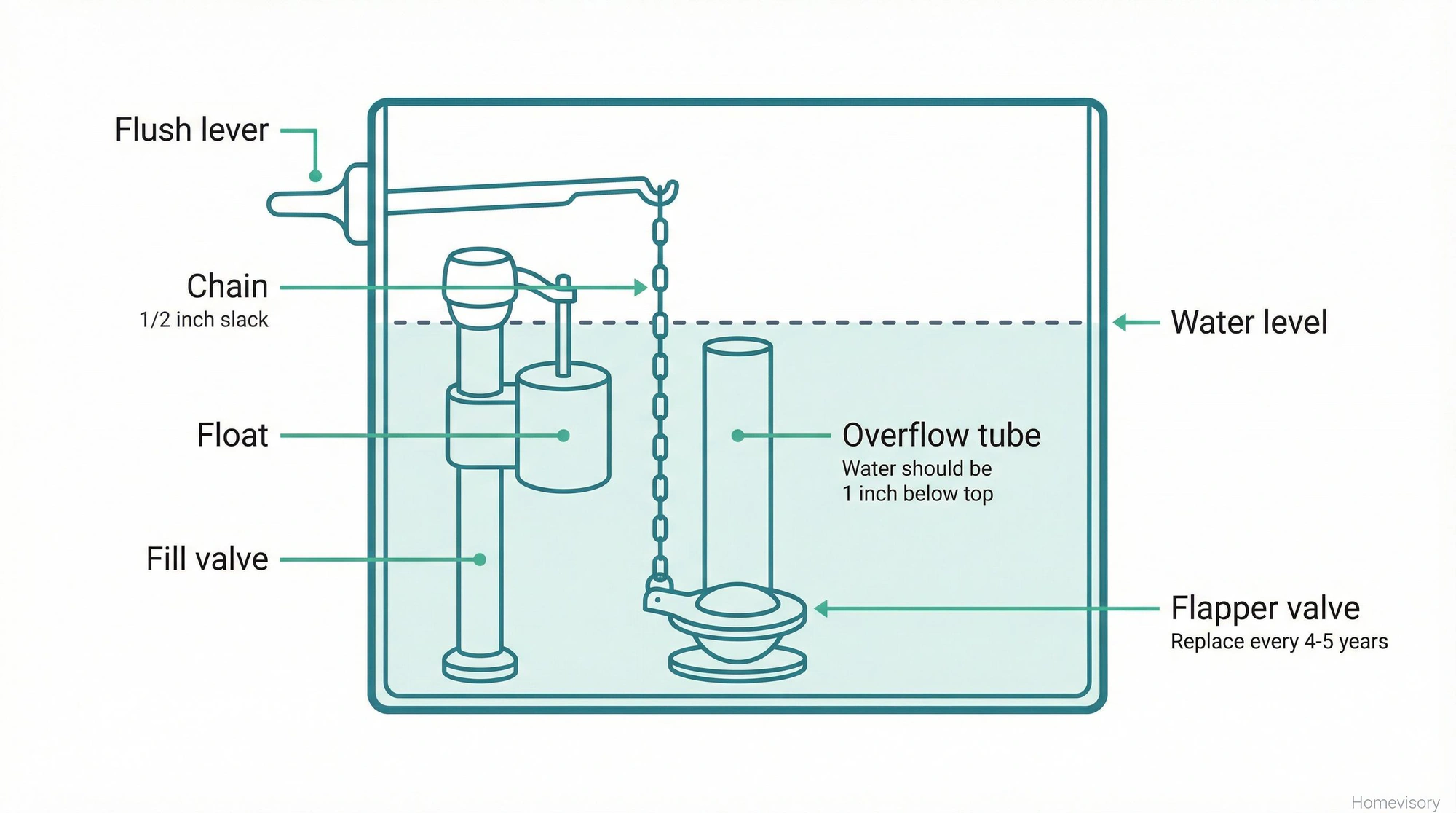 Cross-section diagram of toilet tank interior showing labeled components: flush lever, chain, flapper valve, fill valve, float, and overflow tube with maintenance notes